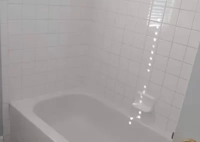 Home Cleaning (1)