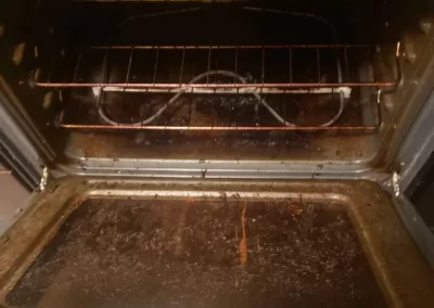 Home Cleaning (11)