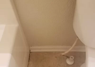 Home Cleaning (5)