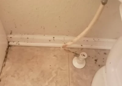 Home Cleaning (9)